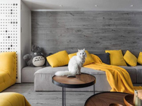 純干貨！家里有寵物的十個(gè)裝飾小建議